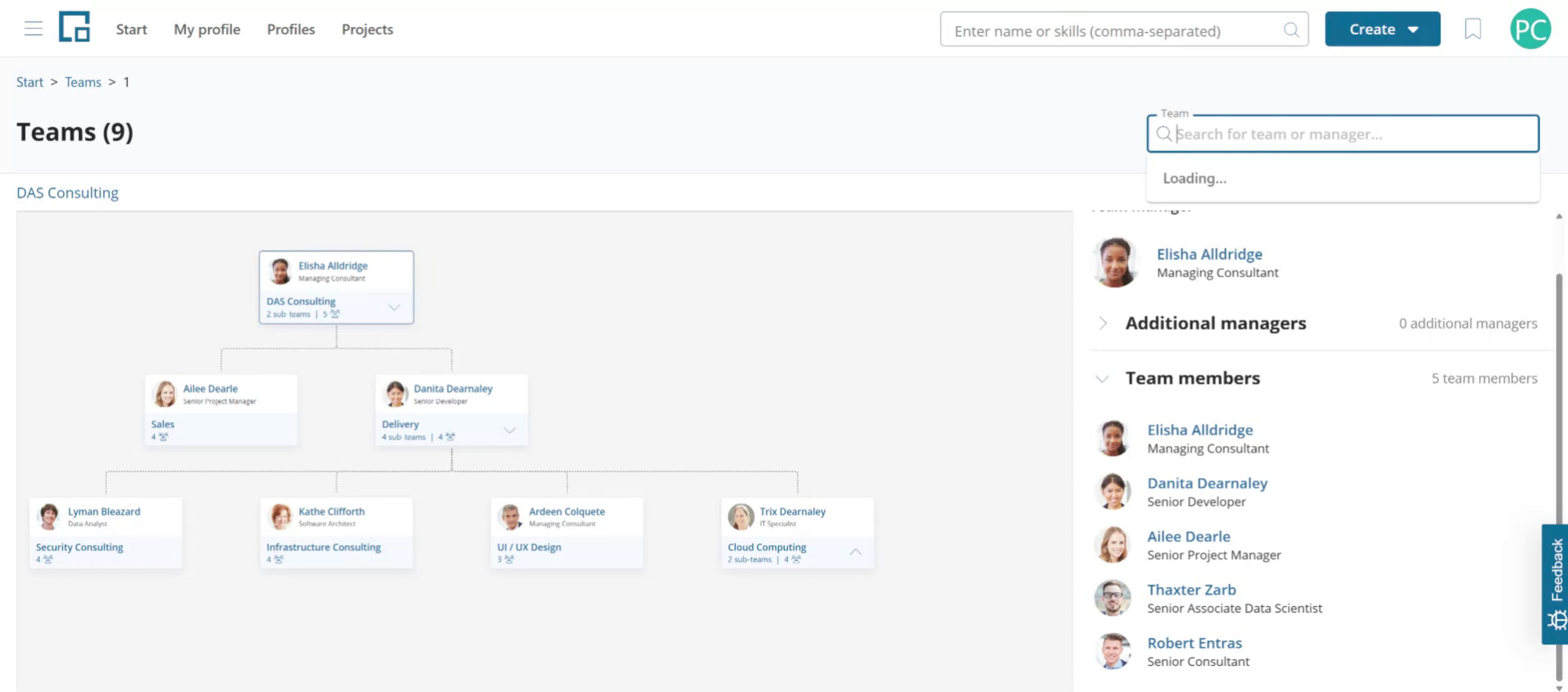 Zoomed out team chart showing several levels of the team hierarchy