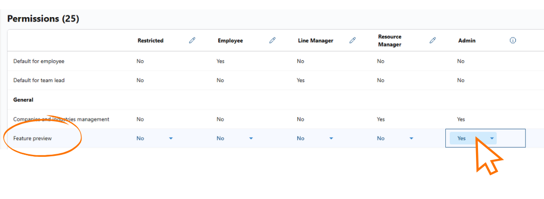Permissions matrix with the Feature preview permission switched on for the admin profile