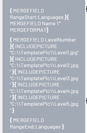 Languages range with a LevelNumber field followed by five INCLUDEPICTURE fields for level images