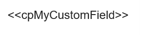 Placeholder for a custom property on the slide template