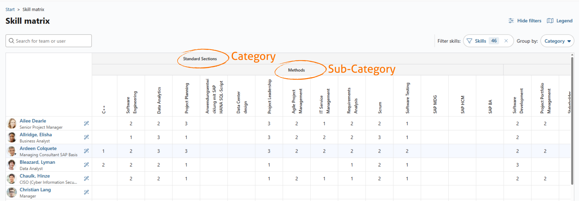 Skill matrix with people as rows and skills as columns, grouped under category and sub-category headers